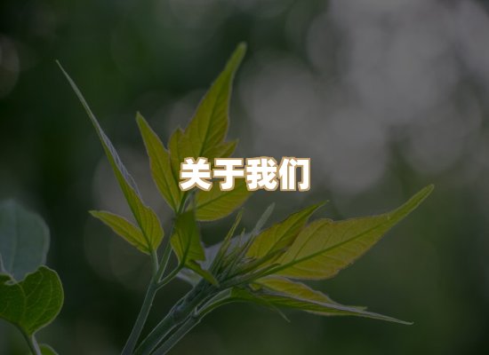 关于瑞达证服